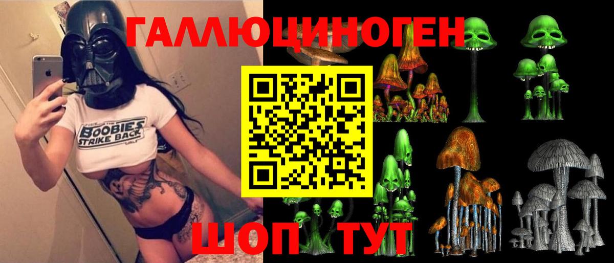 Псилоцибиновые грибы Psilocybine cubensis  Вход с VPN  Унеча 
